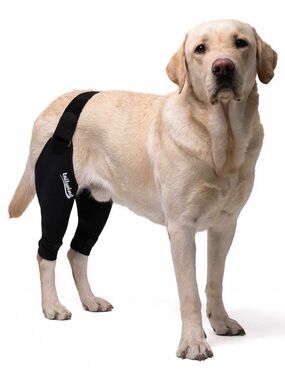 Tailwindpets Double Knee Brace for Dogs Black Size: Ultra Mini NWT IN PACKAGE